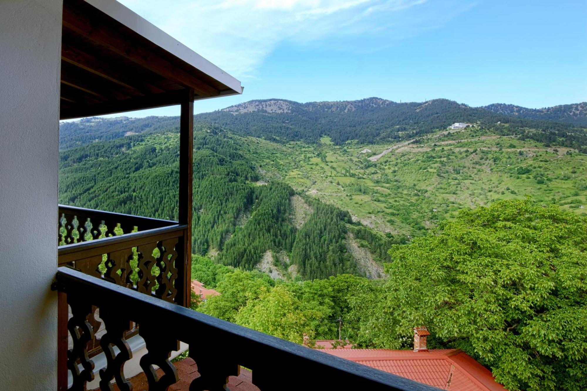 Aroma Dryos Spa & Eco Hotel Metsovo Exteriér fotografie